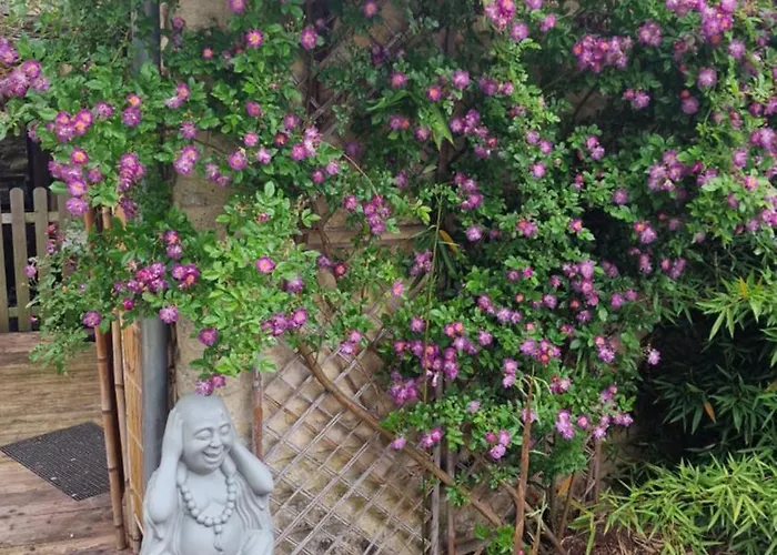 Du Moulin De Barutel Espace Bien-etre En Supplement Maison d'hôtes 4*