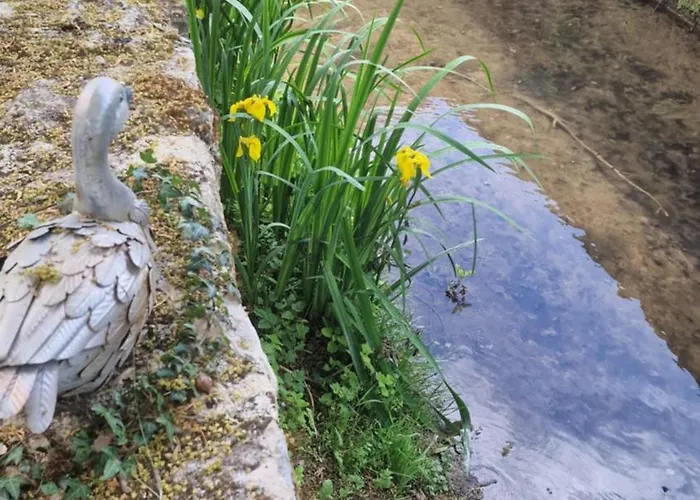 Du Moulin De Barutel Espace Bien-etre En Supplement 4*